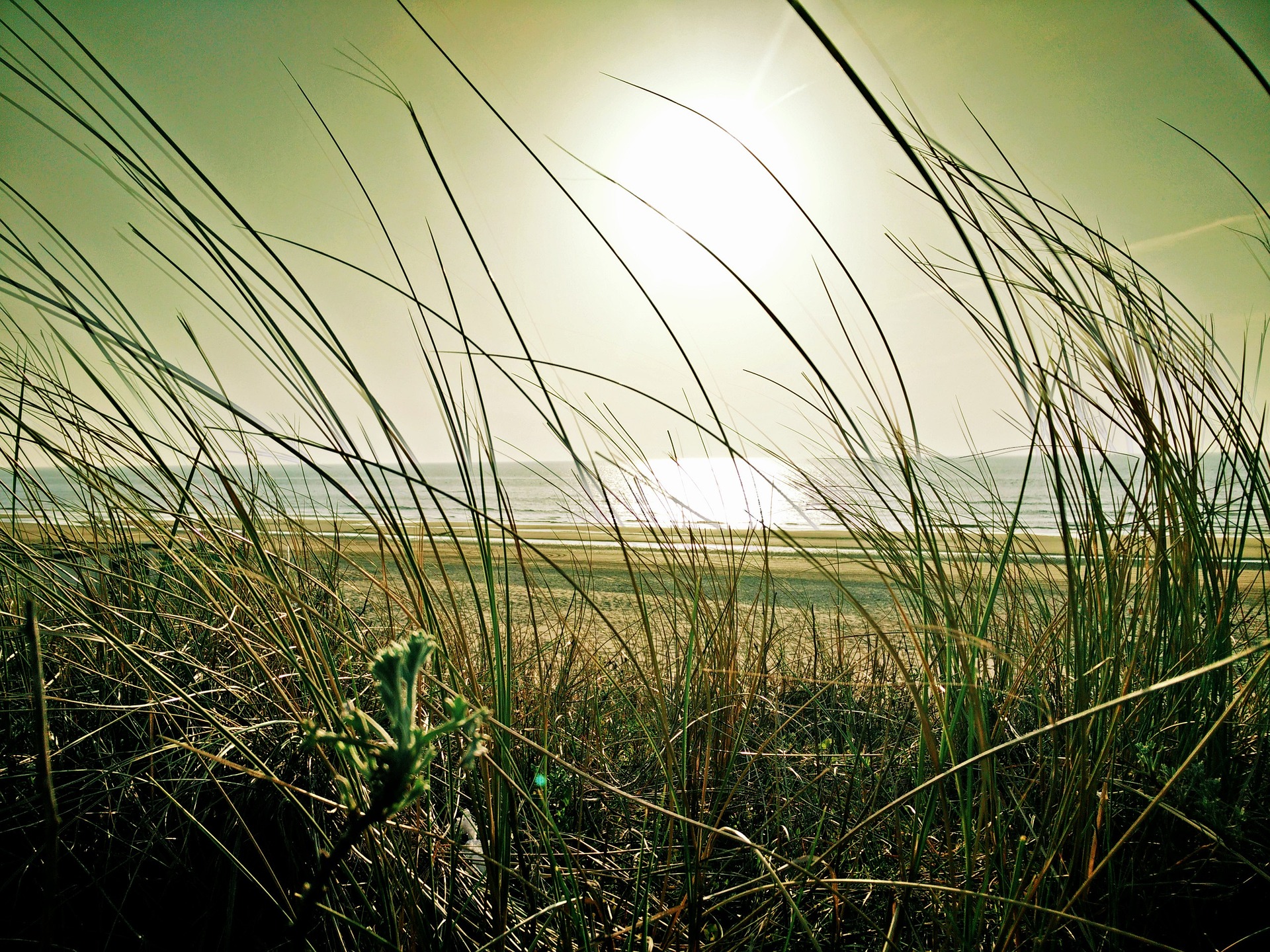 Pathway 1: Regaining Your Bearings